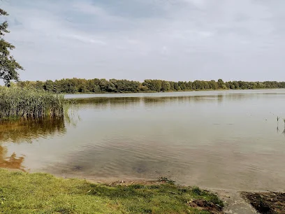 Jezioro Szczytnowskie