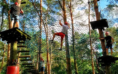 Park Linowy "Leśny Raj" w Ślesinie