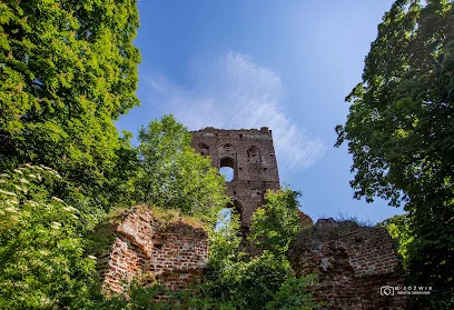 Wieża zamkowa / zamek w Borysławicach Zamkowych